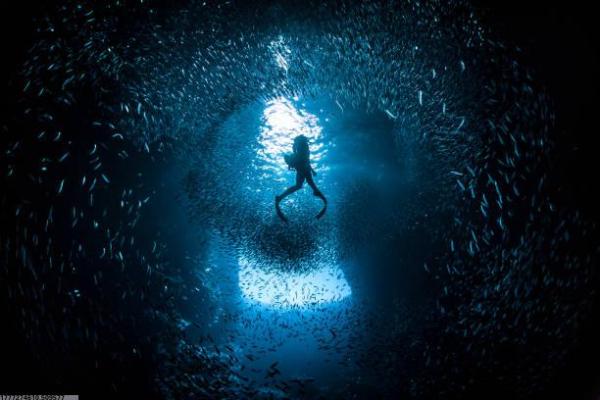 昆山体育中心散打培训班课程及费用介绍(图1)