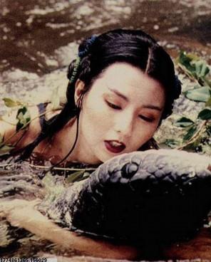 大卫·威尔莫特